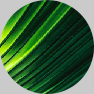 pp151d4dc9.png