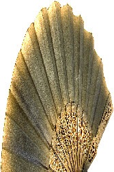 ppec880c89_1b.jpg